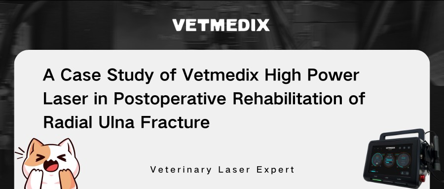 Vetmedix vaka paylaşımı 丨 Radyal ulna kırığının postoperatif rehabilitasyonunda yüksek güçlü lazer tedavisi