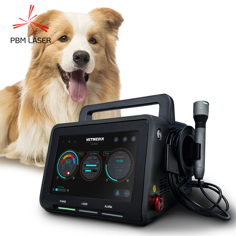 30W Köpek Pet Ağrı Terapisi Lazer 450nm 650nm 810nm 808nm 915nm 1064nm